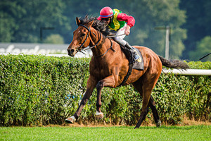 CADEDDU Michael: Horse Race Course Hoppegarten