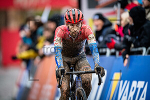 VAN DER HAAR Lars: UCI Cyclo Cross World Cup - Overijse 2022