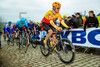 LEVY William Blume: Ronde Van Vlaanderen 2023 - MenÂ´s Race