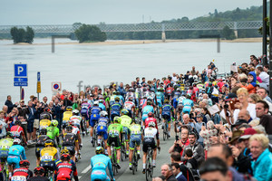 Peloton: 103. Tour de France 2016 - 4. Stage