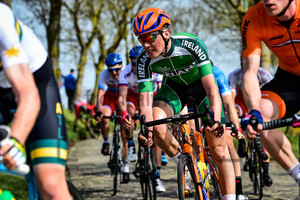 MCDUNPHY Conn: Ronde Van Vlaanderen - Beloften 2018