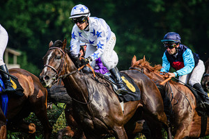 LAUBE Martin: Horse Race Course Hoppegarten