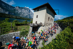 PELLAUD Simon: UEC Road Cycling European Championships - Trento 2021