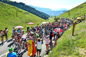 Peloton: 103. Tour de France 2016 - 8. Stage