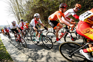 SCHNEITER Joab: Ronde Van Vlaanderen 2019 - Beloften