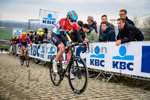 VERVLOET Sterre: Ronde Van Vlaanderen 2023 - WomenÂ´s Race