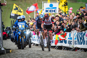 POGAČAR Tadej - POGACAR Tadej: Ronde Van Vlaanderen 2022 - Men´s Race