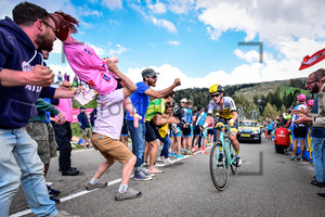BATTAGLIN Enrico: 99. Giro d`Italia 2016 - 15. Stage