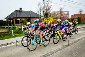 WATERREUS Kylie: Ronde Van Vlaanderen 2019