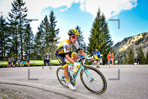 ROGLIC Primoz: 99. Giro d`Italia 2016 - 15. Stage