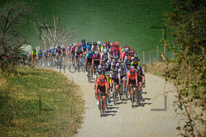 Peloton: Giro Rosa Iccrea 2020 - 2. Stage
