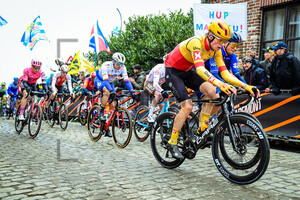 LEVY William Blume: Ronde Van Vlaanderen 2023 - MenÂ´s Race