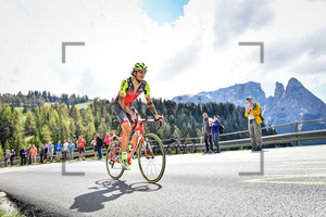 POZZATO Filippo: 99. Giro d`Italia 2016 - 15. Stage