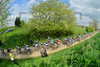 Peloton: Paris - Roubaix 2014