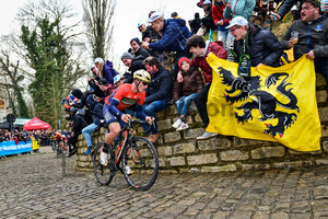 GARCIA CORTINA Ivan: Ronde Van Vlaanderen 2018