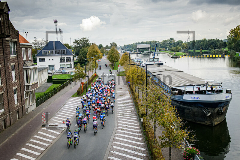 Peloton: Ronde Van Vlaanderen 2020 