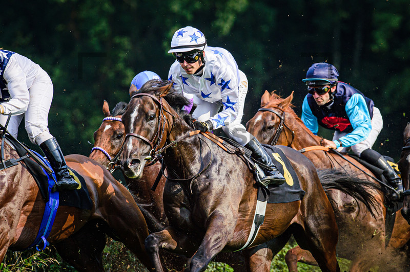 LAUBE Martin: Horse Race Course Hoppegarten 