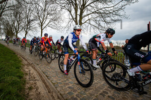 BROWN Grace: Ronde Van Vlaanderen 2022 - WomenÂ´s Race