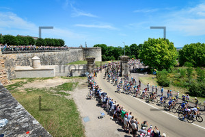 SAGAN Juraj: Tour de France 2017 – Stage 6