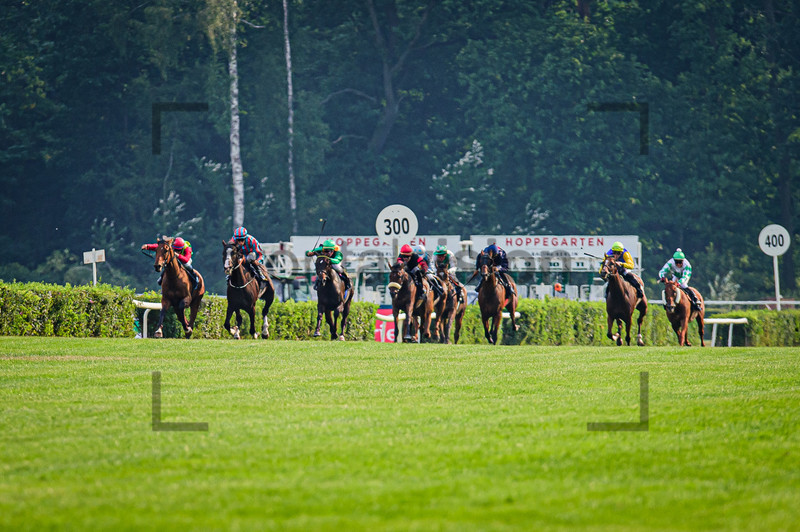11. Race: Horse Race Course Hoppegarten 