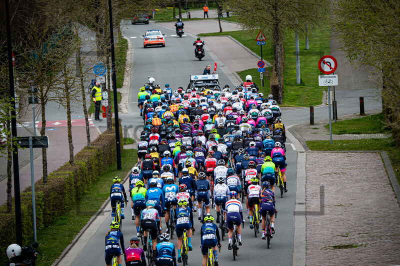 Peloton: Ronde Van Vlaanderen 2021 - Women 