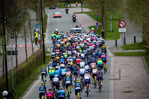 Peloton: Ronde Van Vlaanderen 2021 - Women