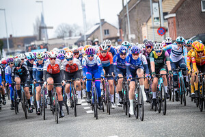 PIRRONE Elena, GRIFFIN Mia: Ronde Van Vlaanderen 2023 - WomenÂ´s Race