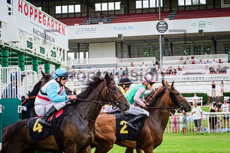 8. Race: Horse Race Course Hoppegarten 