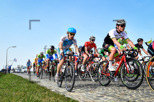 PETELIN Jan: Ronde Van Vlaanderen - Beloften 2018