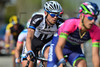 Team Giamt-Shimano: VDK - Driedaagse Van De Panne - Koksijde 2014