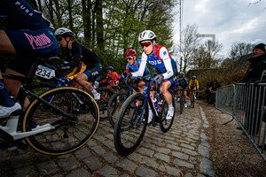 CHAPMAN Brodie: Ronde Van Vlaanderen 2022 - WomenÂ´s Race