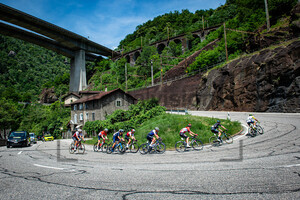 Leader Group: Tour de Suisse - Men 2022 - 6. Stage