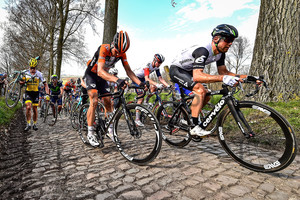 JANSE VAN RENSBURG Reinardt: 100. Ronde Van Vlaanderen 2016