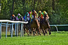 8. Race: 150 Years Horseracecourse Hoppegarten