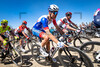 WELTEN Bram: Paris - Roubaix - MenÂ´s Race 2022