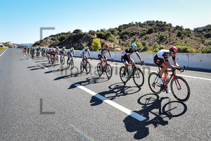 PELUCCHI Matteo: Tour of Turkey 2017 – Stage 4
