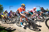 WRIGHT Fred: Paris - Roubaix - MenÂ´s Race 2022