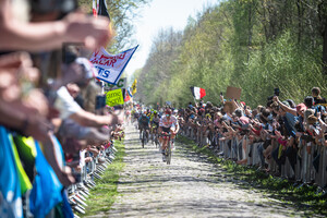 STUYVEN Jasper: Paris - Roubaix - MenÂ´s Race 2022