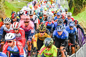 VAN AERT Wout: Ronde Van Vlaanderen 2020