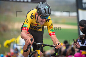 BENOOT Tiesj: Ronde Van Vlaanderen 2022 - MenÂ´s Race