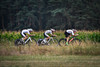 Team Sportforum Kaarst-Büttgen: German Championships Team Time Trail ( TTT )