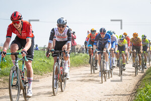 BJERG Mikkel: Paris - Roubaix - MenÂ´s Race