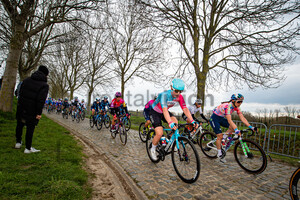 VAN 'T GELOOF Maria Apolonia: Ronde Van Vlaanderen 2022 - WomenÂ´s Race