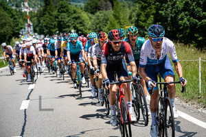 ROWE Luke: Tour de Suisse - Men 2022 - 6. Stage