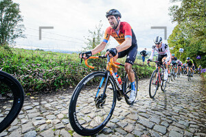 HALLER Marco: Ronde Van Vlaanderen 2020