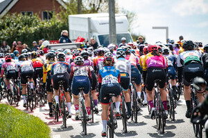 Peloton: Ronde Van Vlaanderen 2022 - WomenÂ´s Race