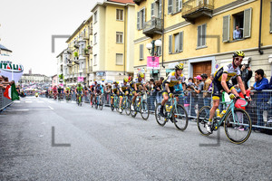 Team Lotto NL - JUMBO: 99. Giro d`Italia 2016 - Teampresentation