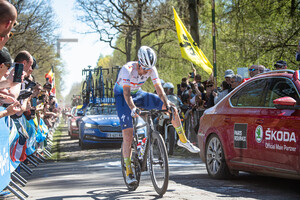 VAN GESTEL Dries: Paris - Roubaix - MenÂ´s Race