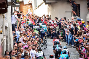 Peloton: 99. Giro d`Italia 2016 - 18. Stage