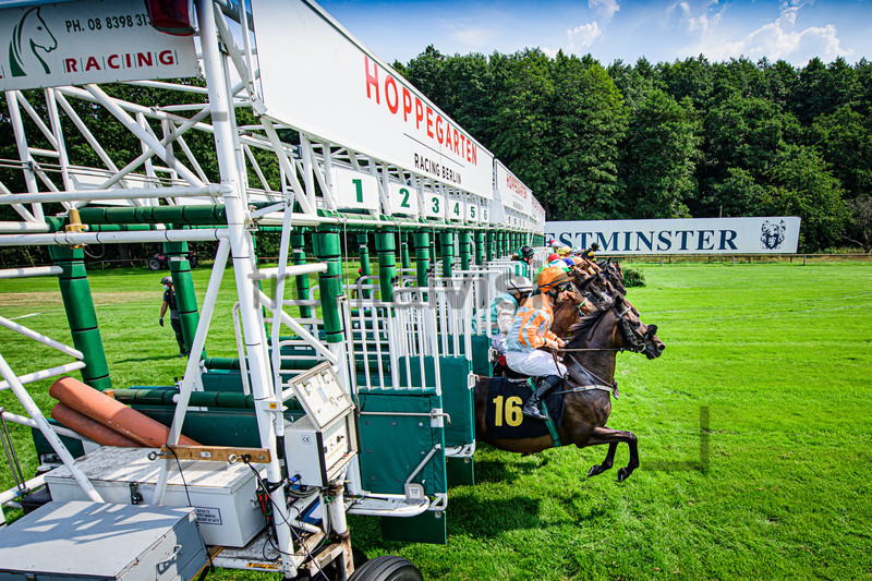 5. Race: Horse Race Course Hoppegarten 